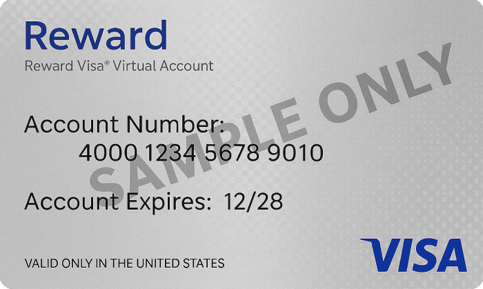 Prepaid Visa Reward USA